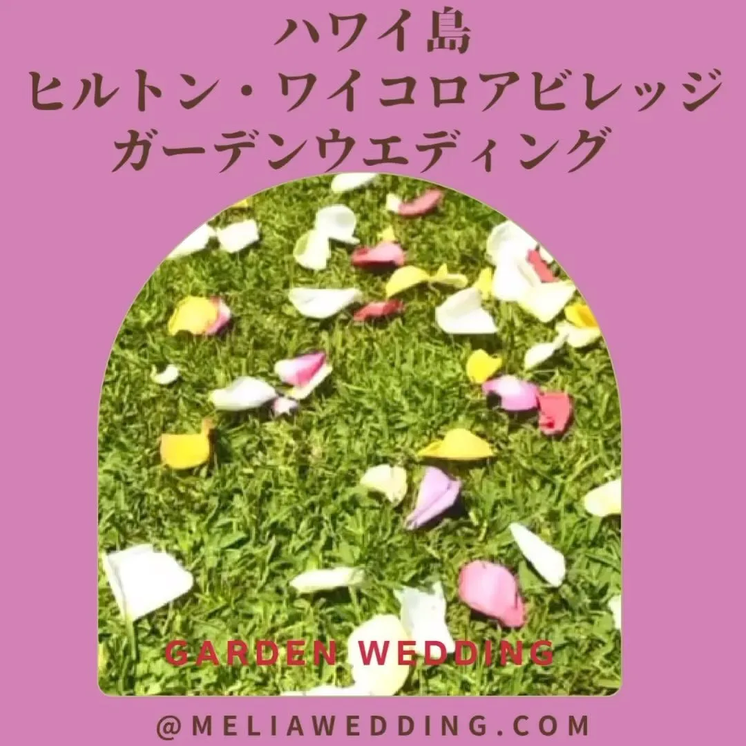ハワイ州、ビッグアイランドハワイ島