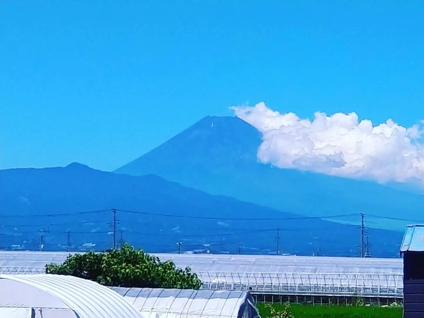 夏の富士山🗻☀️
